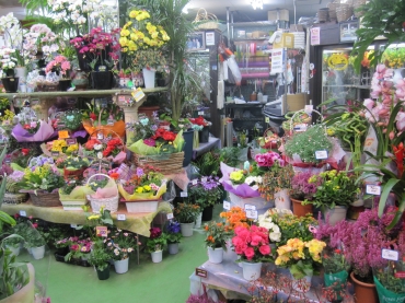 「花の東京花園」　（埼玉県桶川市）の花屋店舗写真1