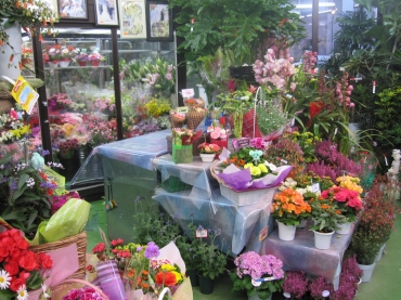 「花の東京花園」　（埼玉県桶川市）の花屋店舗写真2